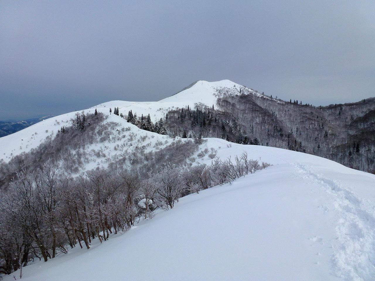 武奈ヶ岳 予報が外れて快晴 山好き的日々 京都北山 武奈ヶ岳 予報が外れて快晴 山好き的日々 京都北山
