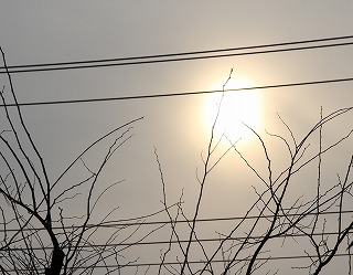 a0123003_97772.jpg