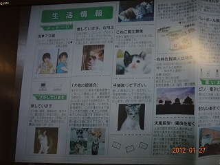 熊本市動物愛護センター訪問！_d0050503_8514888.jpg