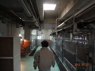熊本市動物愛護センター訪問！_d0050503_902030.jpg
