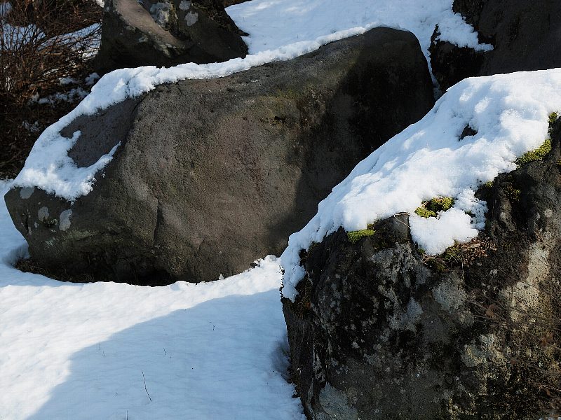 昭和記念公園は、まだ雪景色？！_b0231705_21294763.jpg