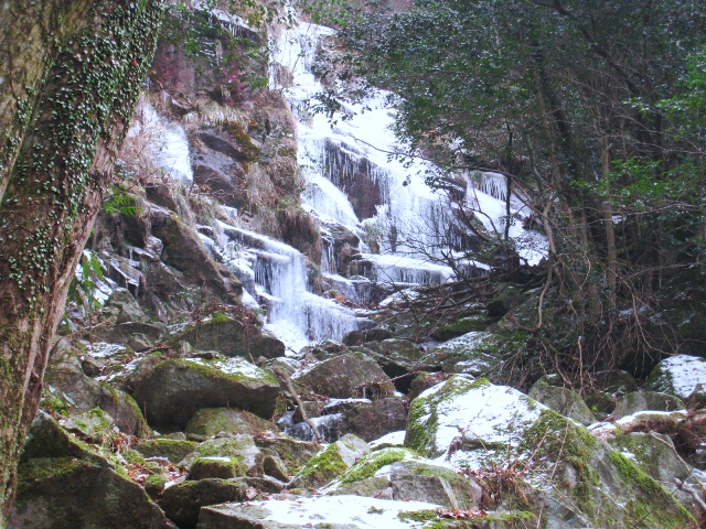 a0097006_21564929.jpg