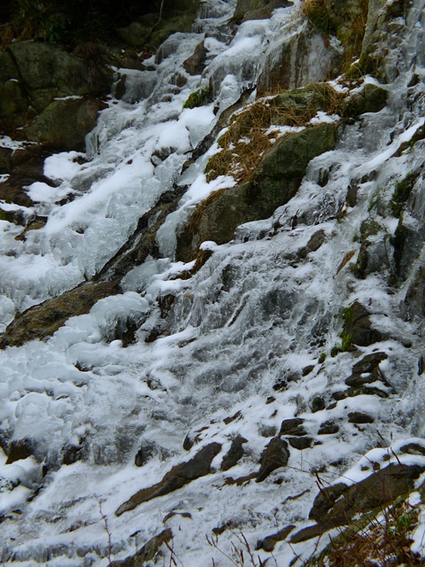 a0097006_2285720.jpg