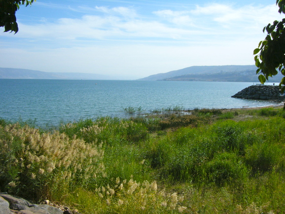 a0230008_0182086.jpg
