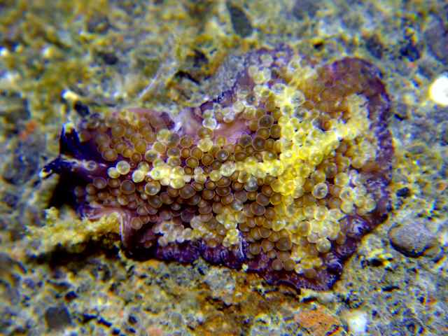 d0175710_11384867.jpg