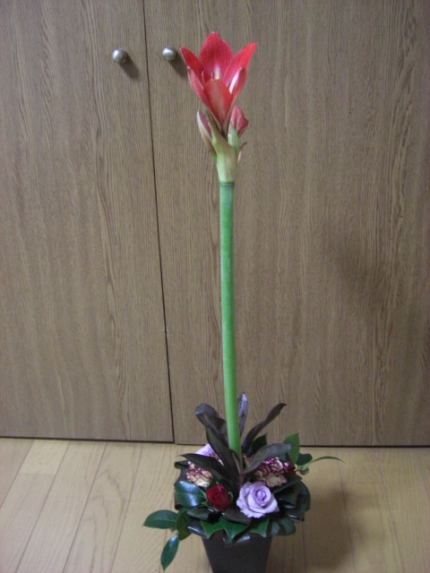 f0226713_17291964.jpg