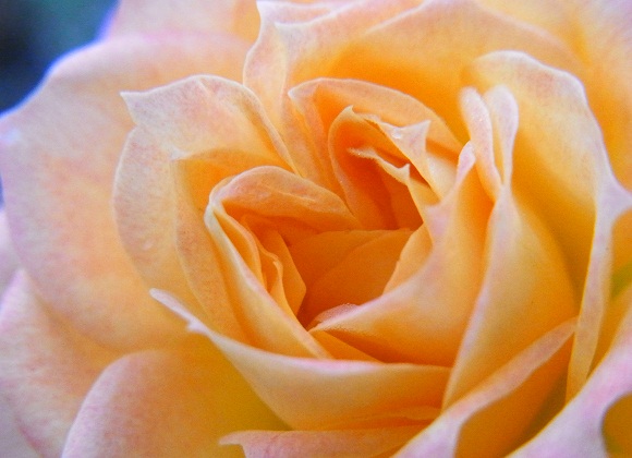 f0214527_213551100.jpg