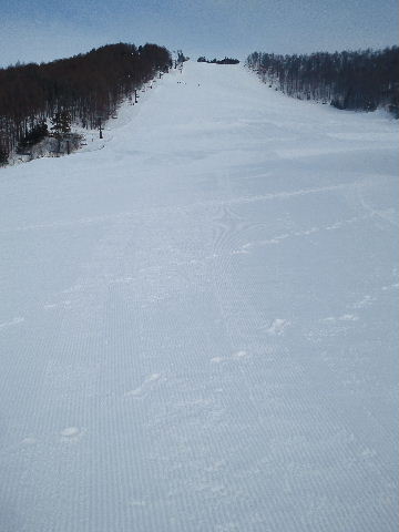 e0064133_22101011.jpg