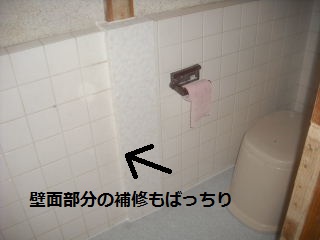 5日目の作業_f0031037_21155337.jpg