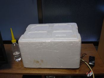 有効発芽率の確認試験_c0063348_16522230.jpg