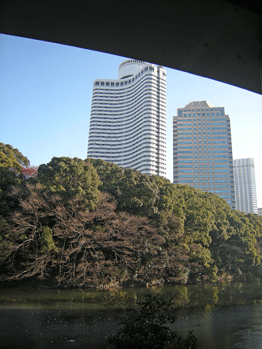 a0001354_22104685.gif