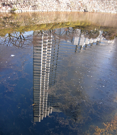 a0001354_22543174.gif