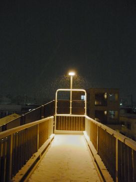 e0140354_13131226.jpg