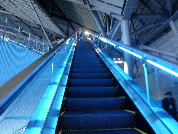 a0193457_1072021.gif