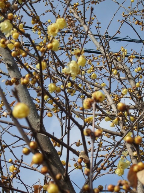 c0111557_21571840.jpg