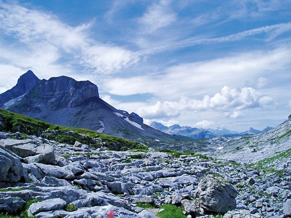 b0241761_22134319.jpg