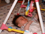 e0046665_16541784.gif