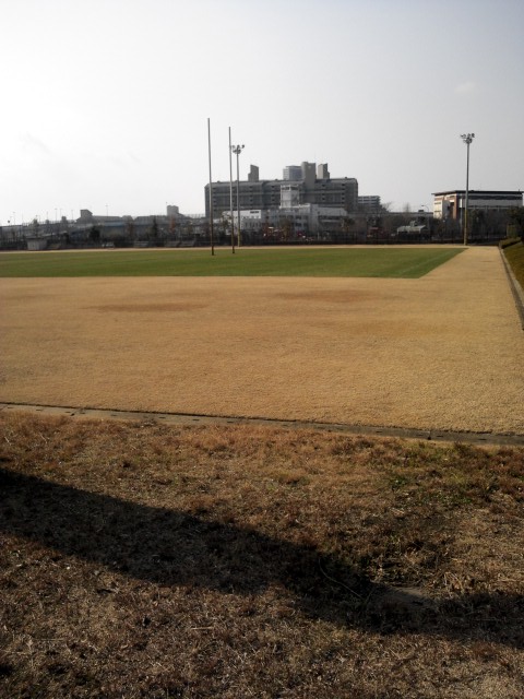 f0200477_081797.jpg