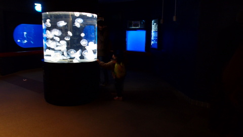 e0024081_2092266.jpg