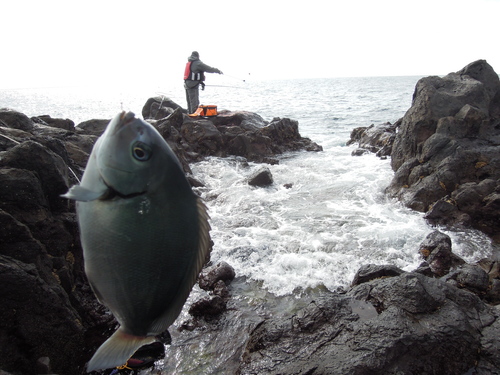 早朝から釣行、夕方から仕事。_d0195183_6584528.jpg