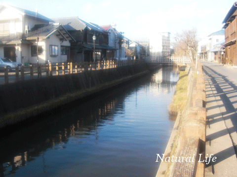 b0162000_9122639.gif