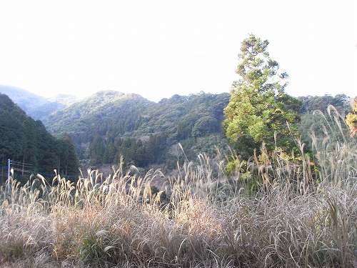 ’12-1：鳥甲山_f0187402_2155921.jpg