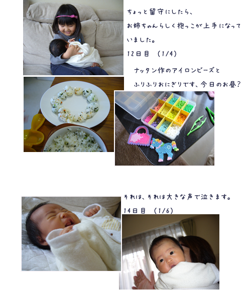 c0051105_047333.png