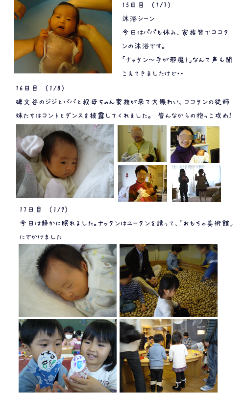 c0051105_0481575.png