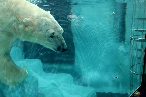 a0208109_178461.jpg