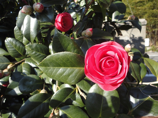 f0231709_12374784.jpg