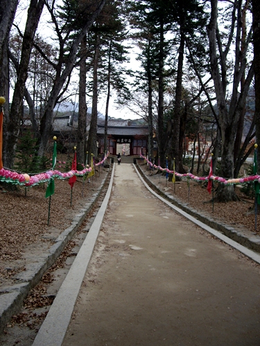 f0060310_8273473.jpg