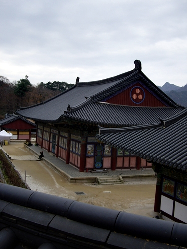 f0060310_8293765.jpg