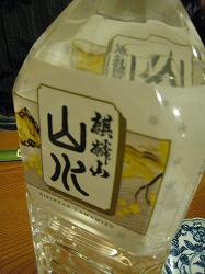 c0203111_223347.jpg