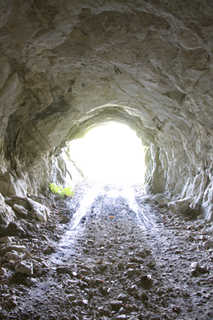 d0235511_115333.png