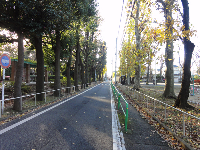 e0031613_23582.jpg
