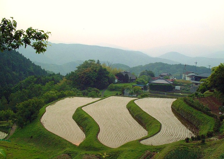 f0182513_09027.jpg