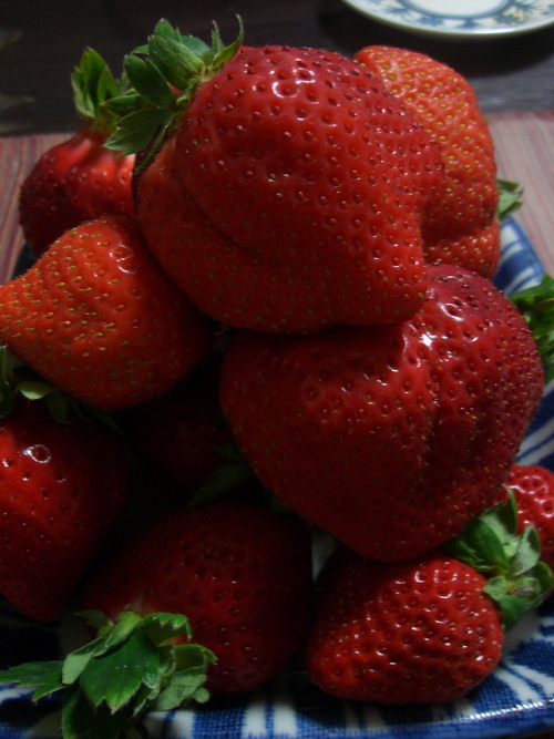 a0209517_1328149.jpg