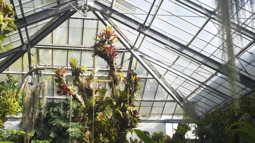 植物園 伊豆_b0212922_15224116.jpg