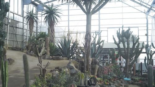 植物園 伊豆_b0212922_15561665.jpg