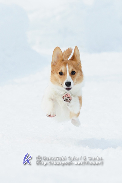 雪の撮影会へのお誘いです_d0102523_1829182.jpg