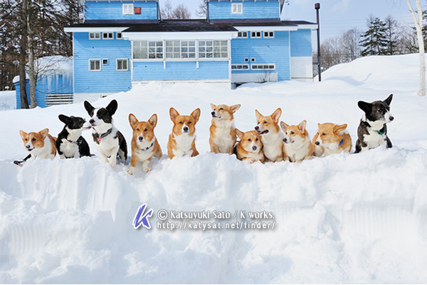 雪の撮影会へのお誘いです_d0102523_18294918.jpg