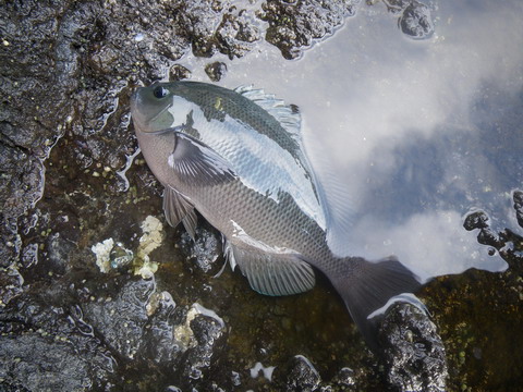 c0202727_21205869.jpg