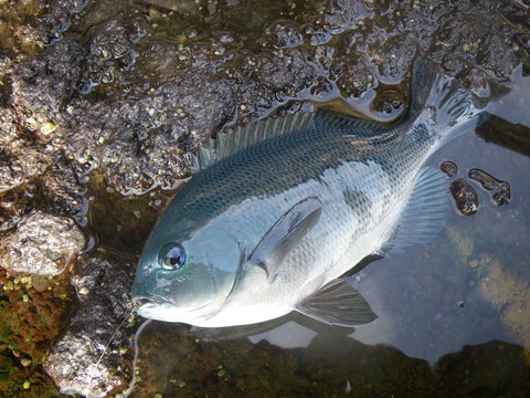 c0202727_2120852.jpg