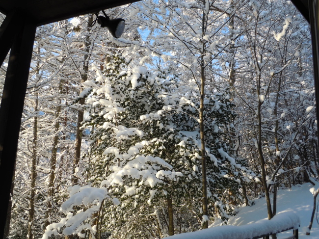 c0117831_23121762.jpg