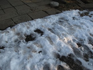 e0202031_17593662.jpg