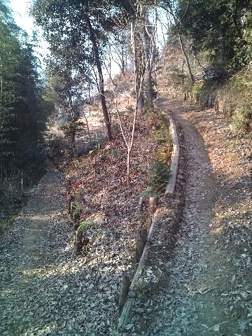 c0113733_15633.jpg