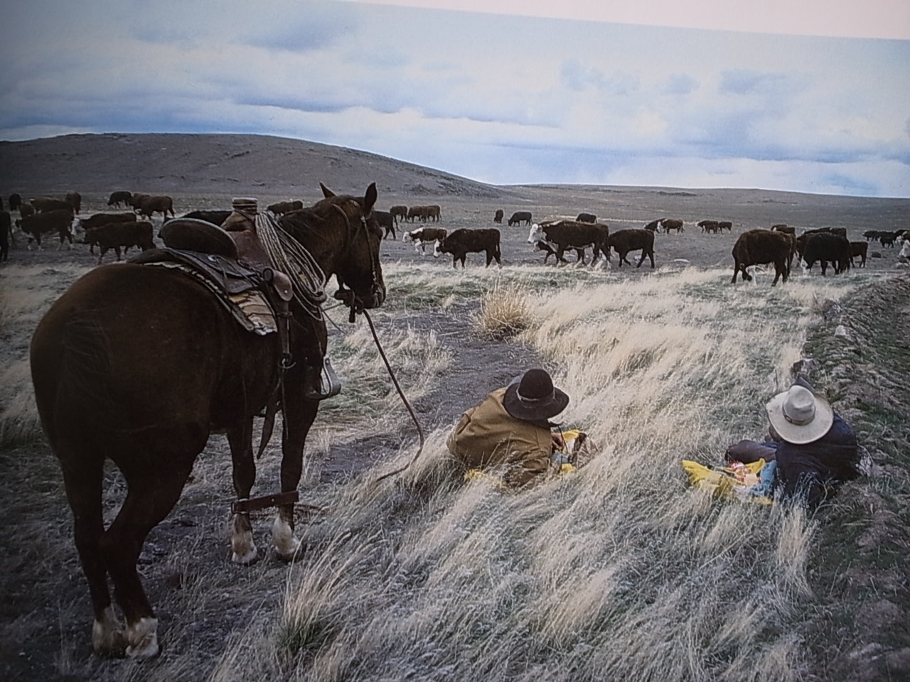 【絶版】 MARKS:COWPUNCHER カート・マーカス 写真集 Kurt Markus（カート・マーカス） | 小宮山書店 KOMIYAMA TOKYO