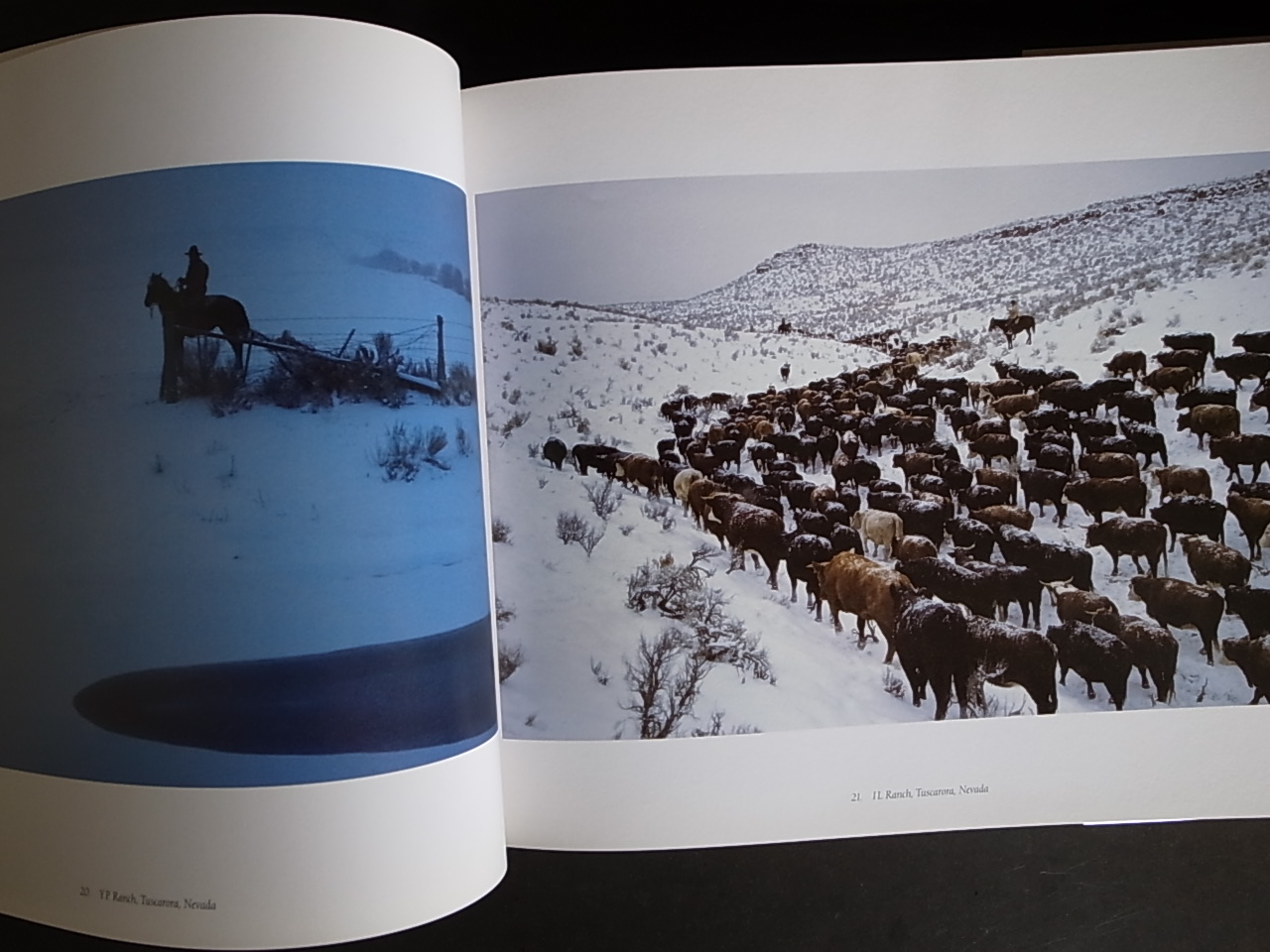 BUCKAROO / Kurt Markus : Books & Things