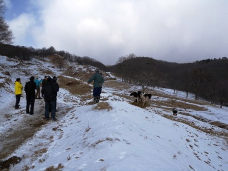 北海道占冠村「持続可能な農業視察団」其の一_b0206037_1713980.jpg