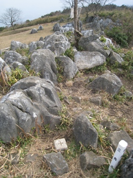 c0077338_61215.jpg